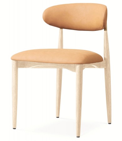 Place Side Chair