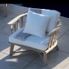 Cove Lounge Chair